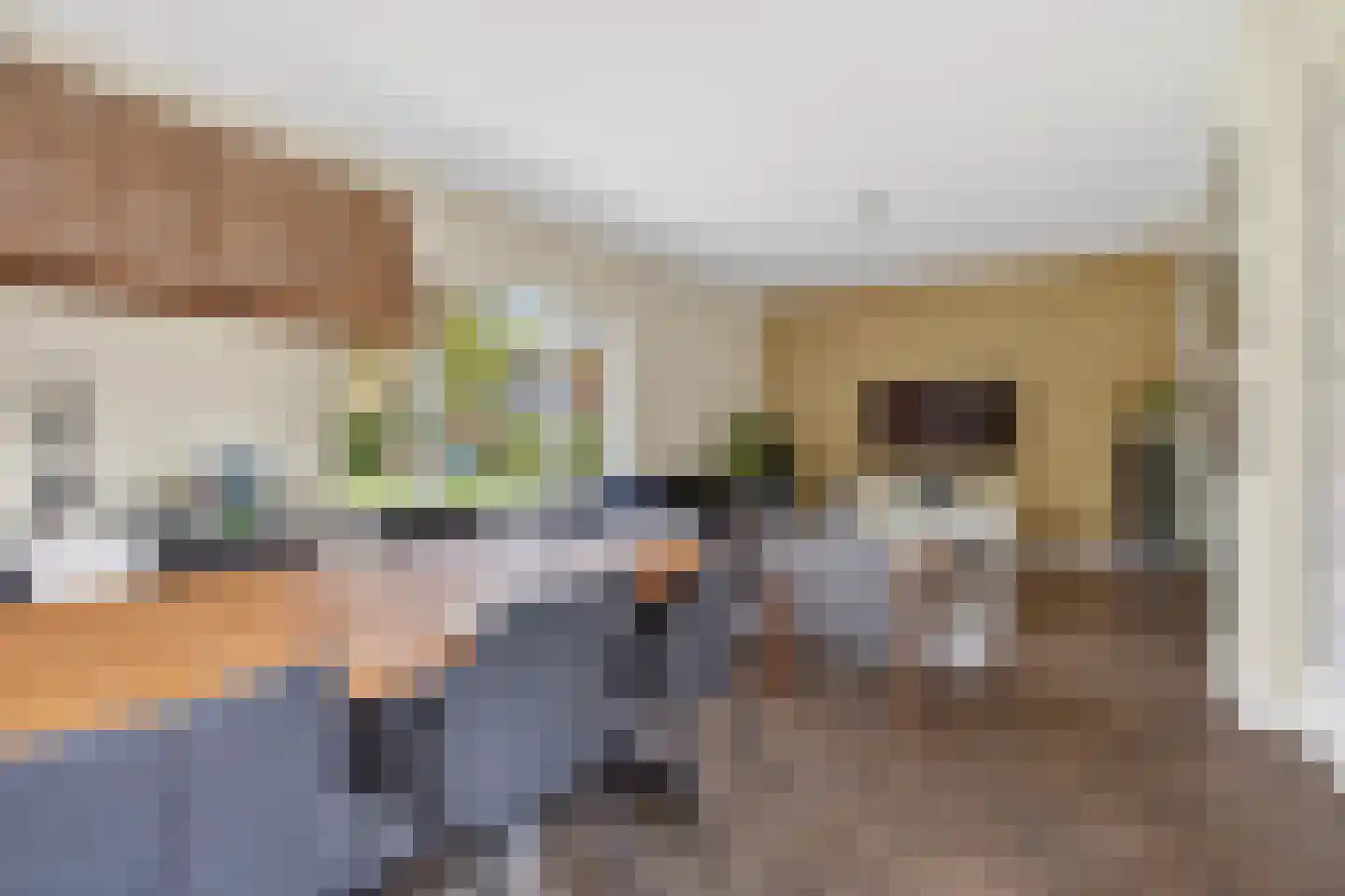 Laarakkerdijk 68 Reusel thumbnail 6