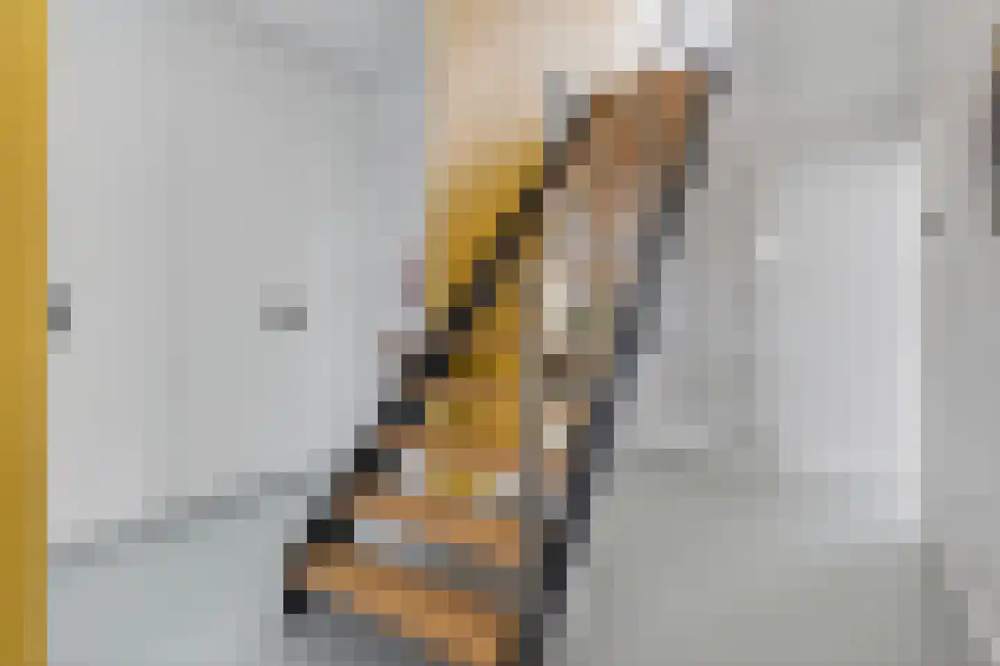 Laarakkerdijk 68 Reusel thumbnail 8