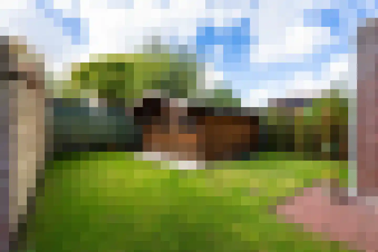 Laarderschans 20 Weert thumbnail 37