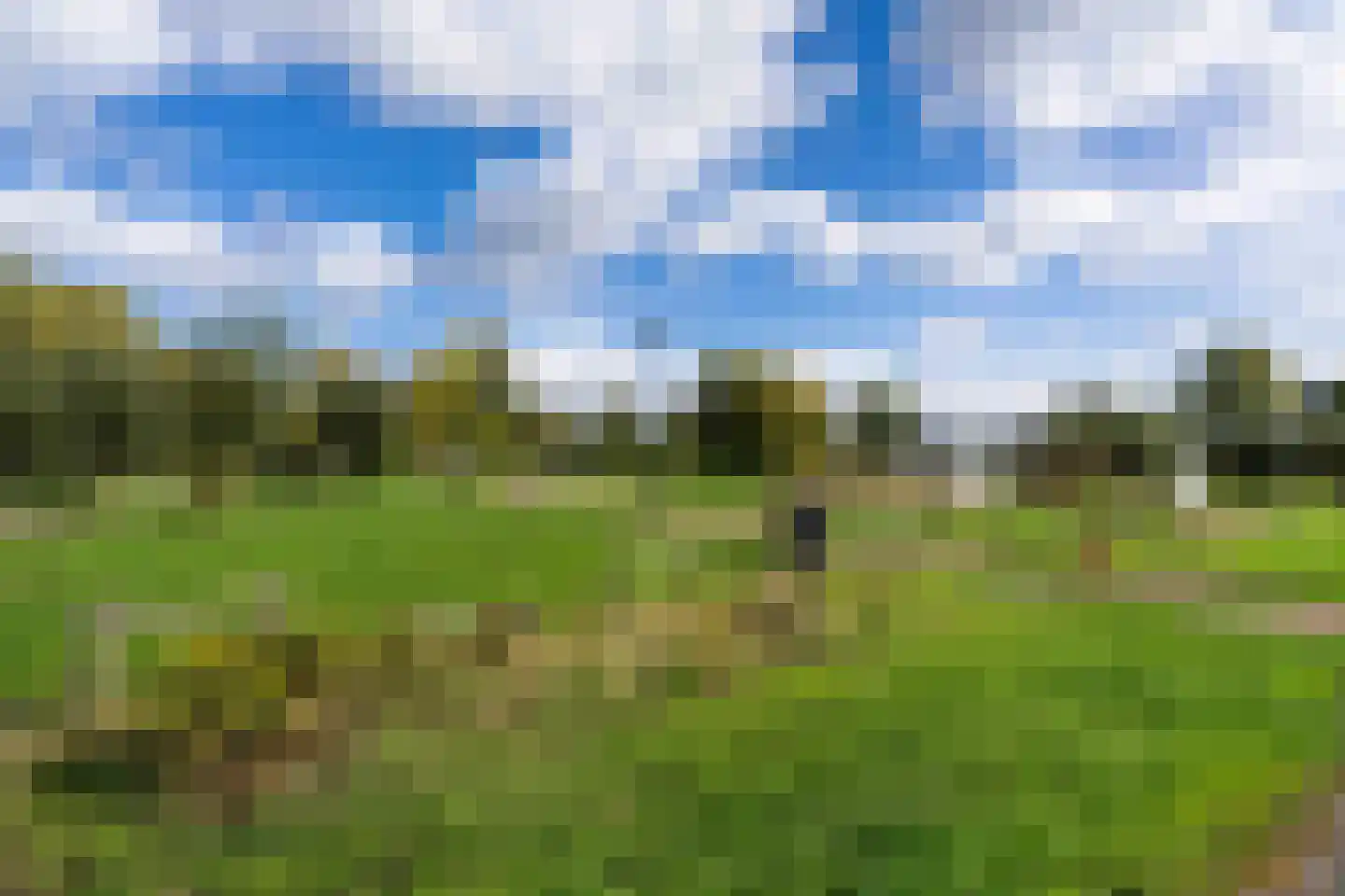 Laarderschans 20 Weert thumbnail 49