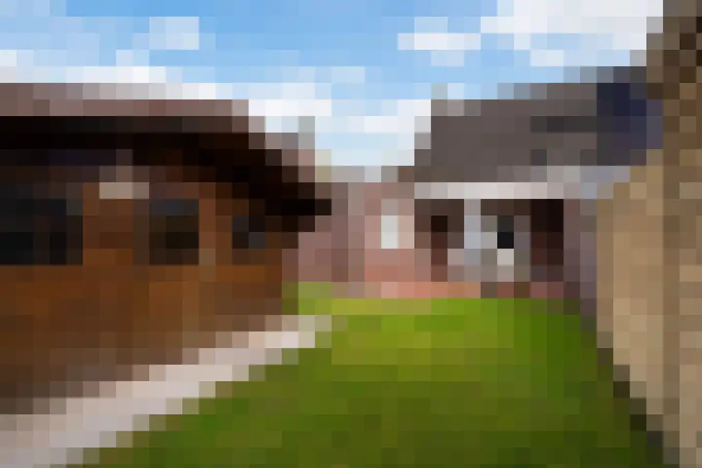 Laarderschans 20 Weert thumbnail 6