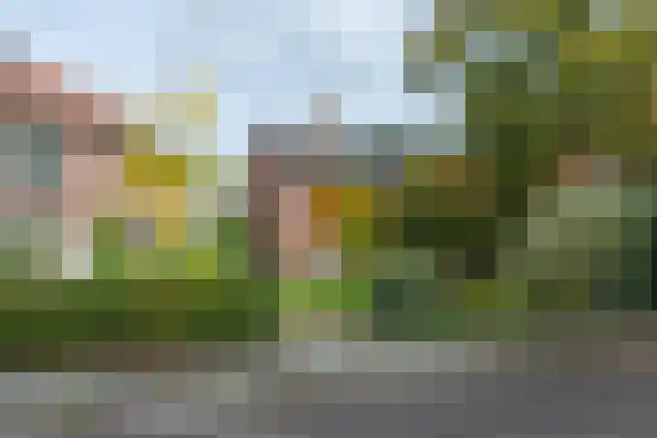 Laarderweg 110 C Eemnes foto 2