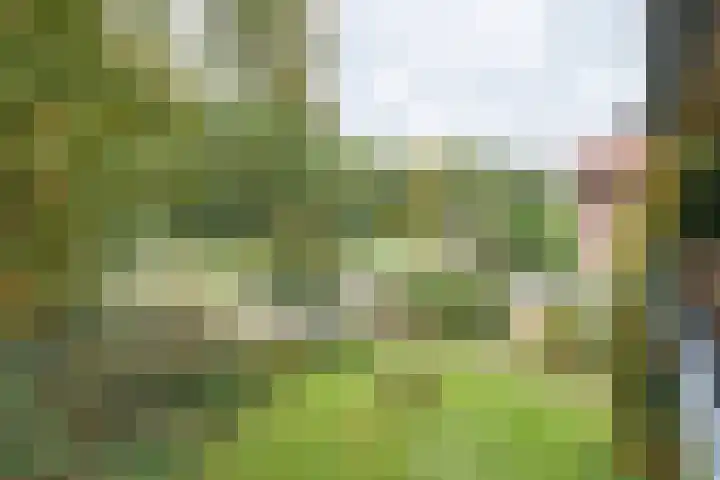 Laarderweg 110 C Eemnes thumbnail 27