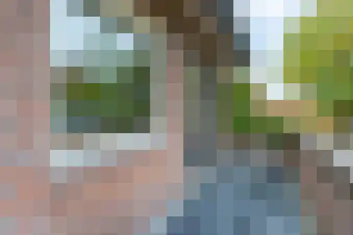 Laarderweg 110 C Eemnes thumbnail 35