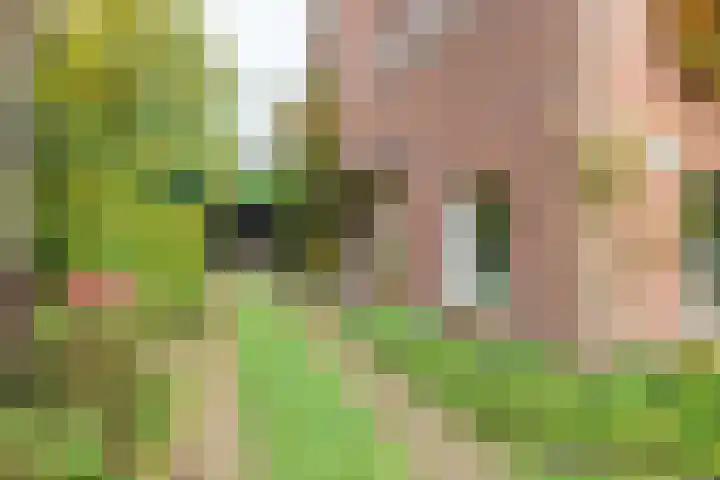 Laarderweg 110 C Eemnes thumbnail 4