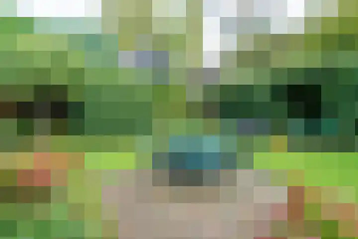 Laarderweg 110 C Eemnes thumbnail 44