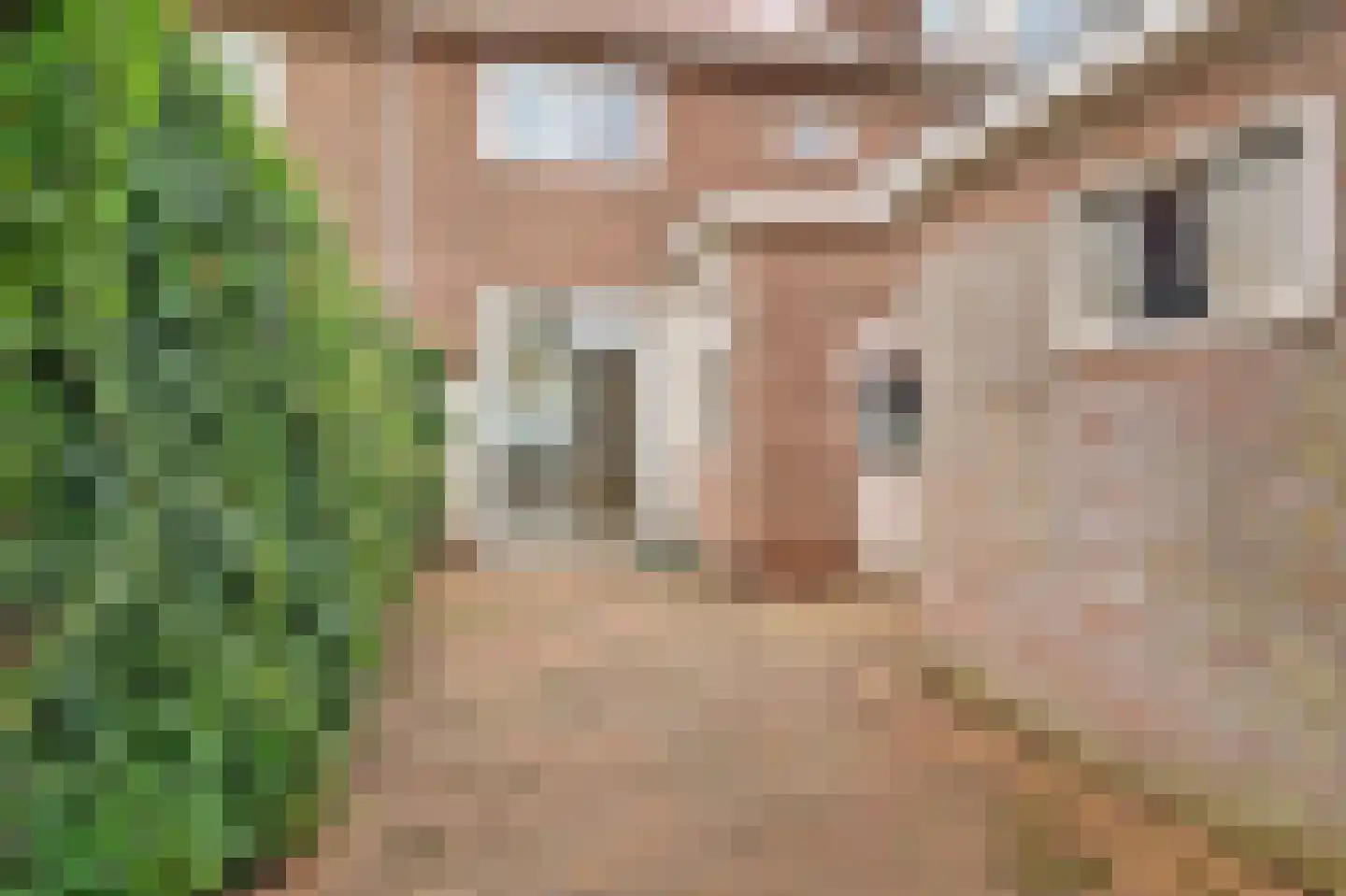 Laarderweg 123 Bussum thumbnail 31