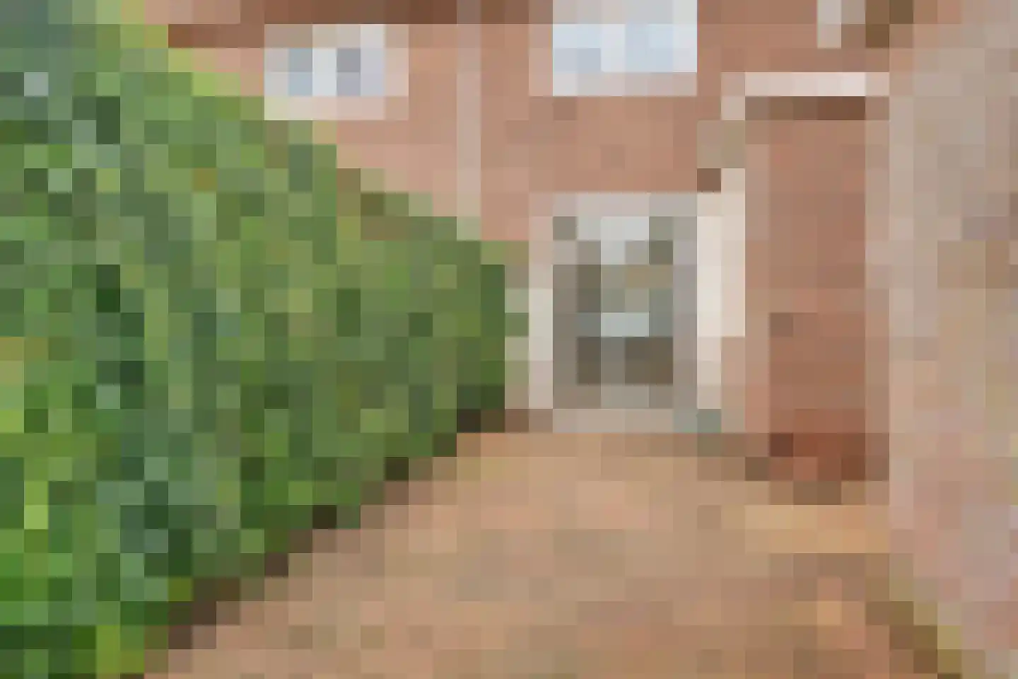 Laarderweg 123 Bussum thumbnail 32