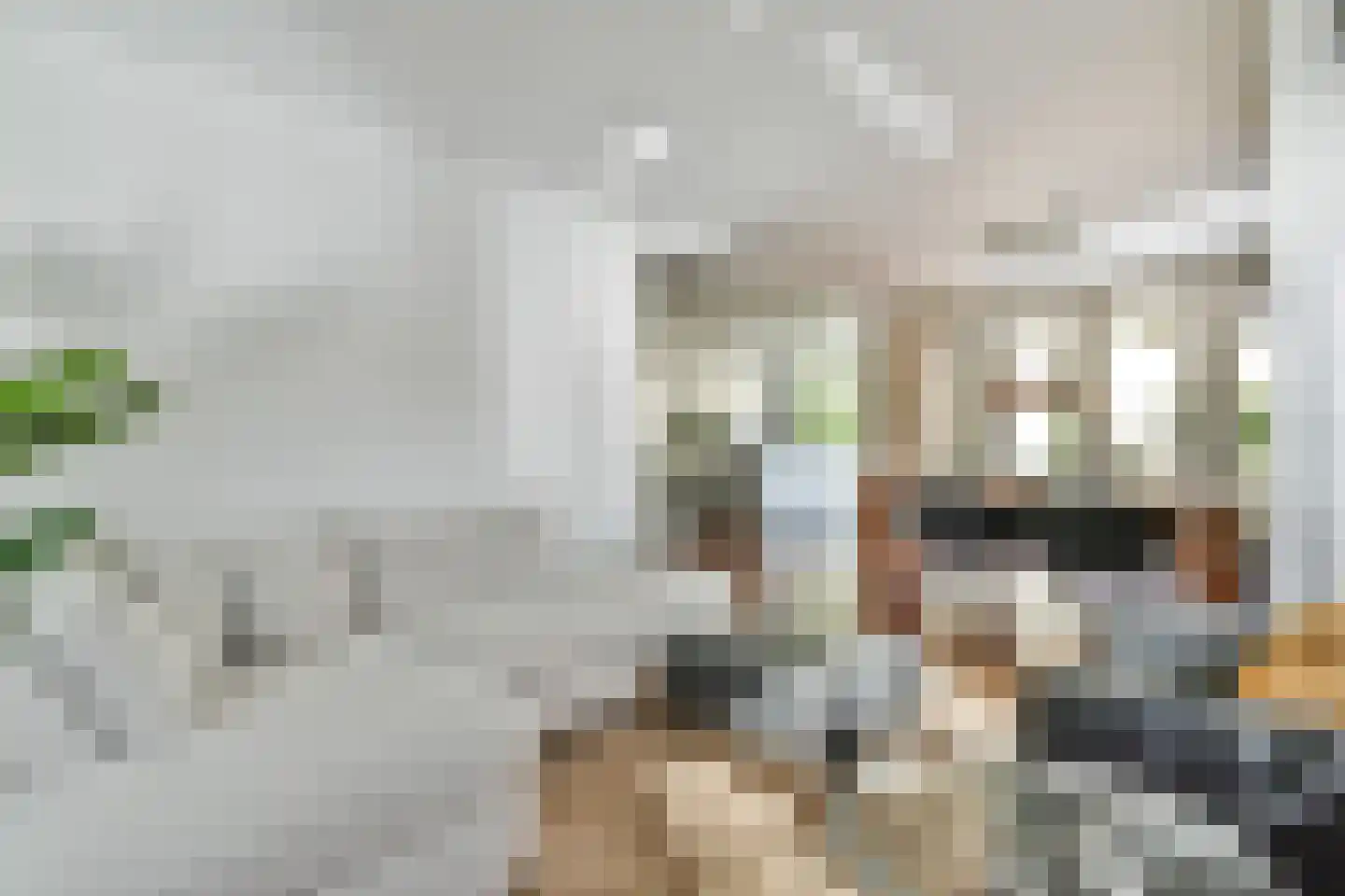 Laarderweg 126 Eemnes thumbnail 10