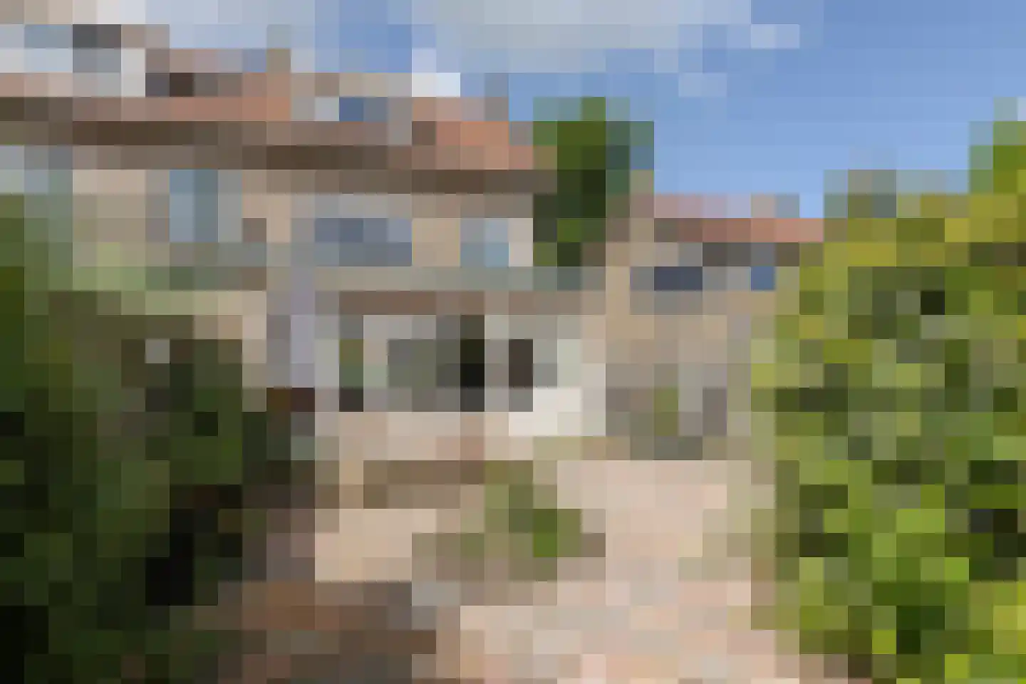 Laarderweg 173 Bussum thumbnail 10