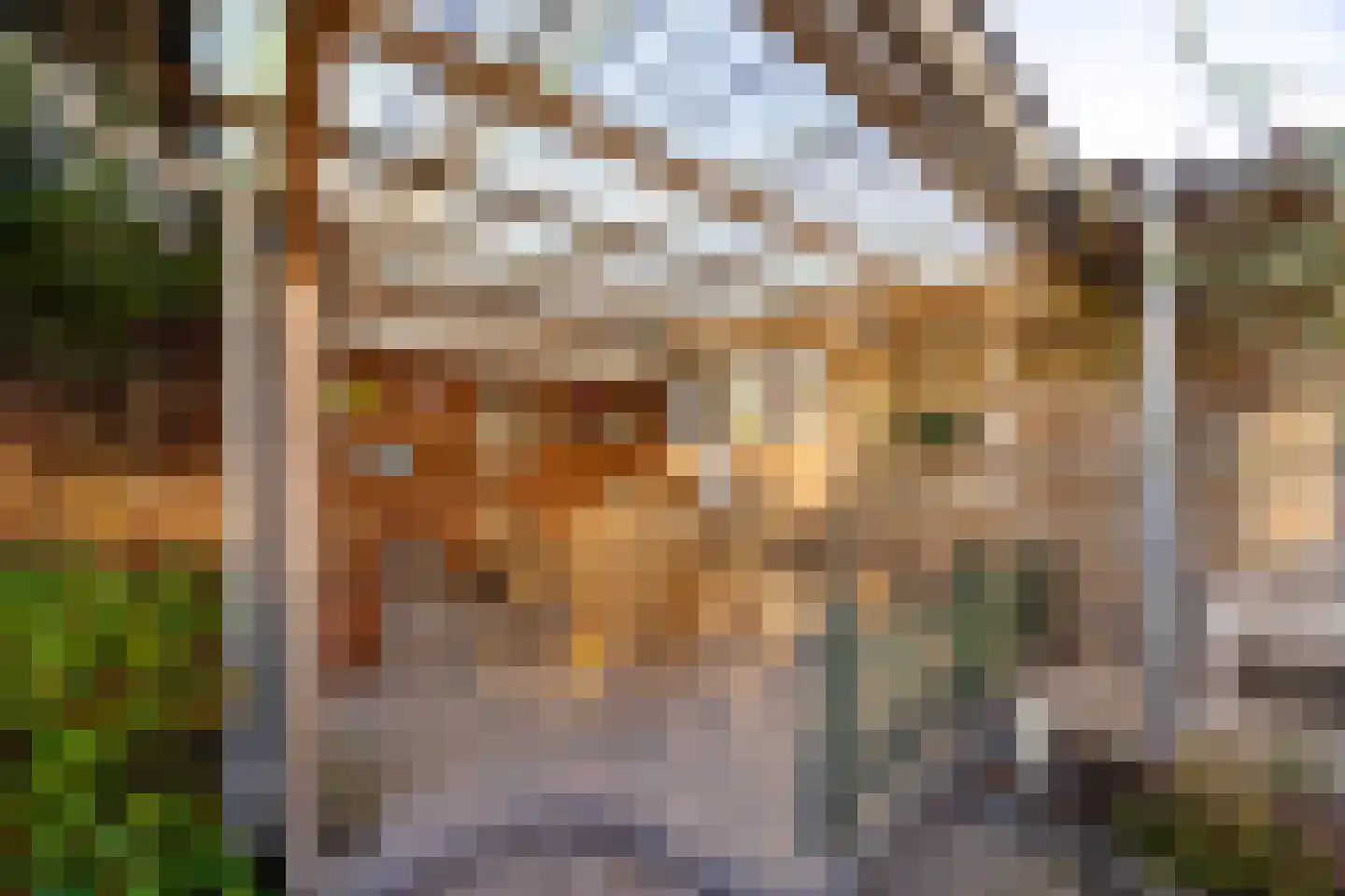 Laarderweg 180 Bussum thumbnail 35