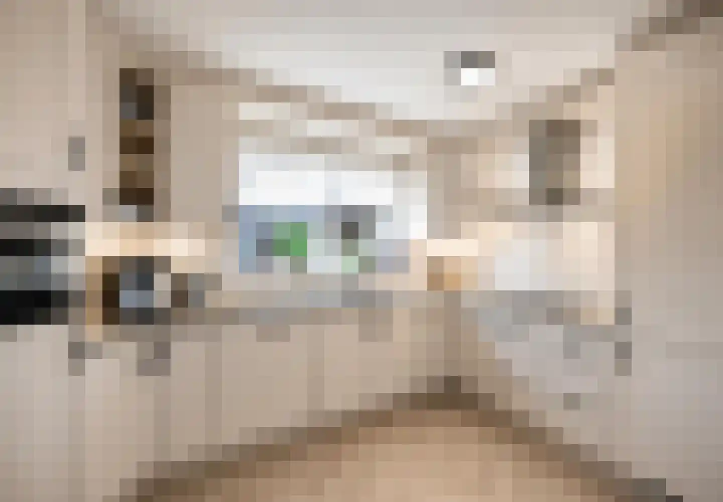 Laarderweg 180 Bussum thumbnail 37