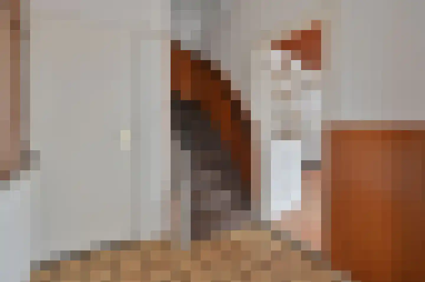 Laarderweg 2 Eemnes thumbnail 18
