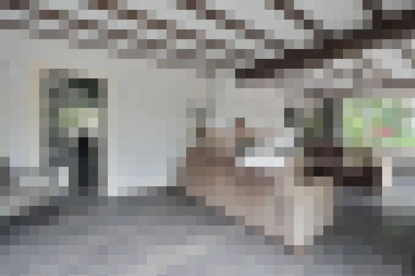 Laarderweg 2 Eemnes thumbnail 5
