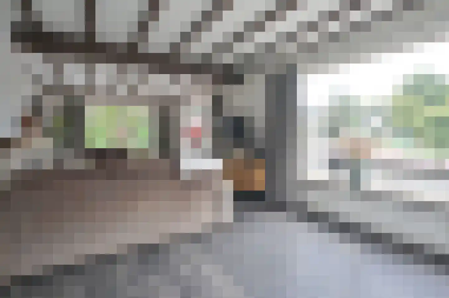 Laarderweg 2 Eemnes thumbnail 7