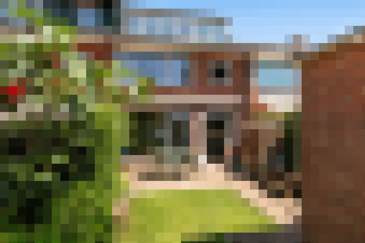 Laarderweg 204 Bussum thumbnail 14