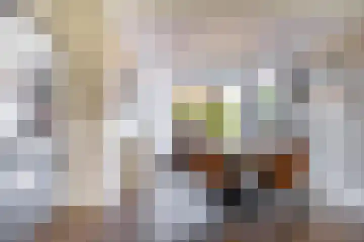 Laarderweg 214 Bussum thumbnail 10