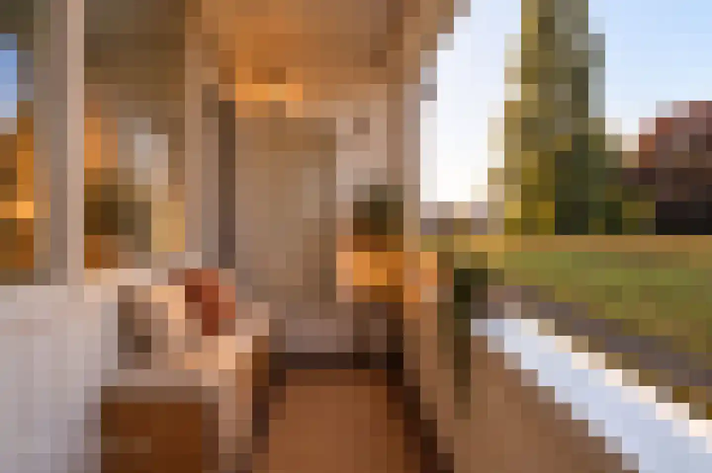 Laarderweg 234 I Bussum thumbnail 19
