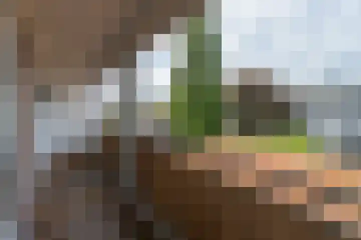 Laarderweg 236 II Bussum thumbnail 11