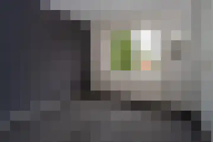 Laarderweg 236 II Bussum thumbnail 15