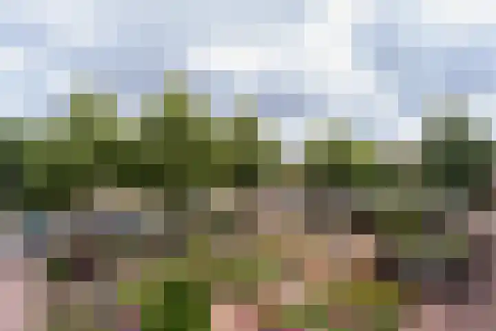 Laarderweg 236 II Bussum thumbnail 21