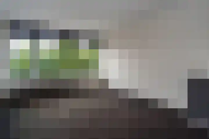 Laarderweg 236 II Bussum thumbnail 4