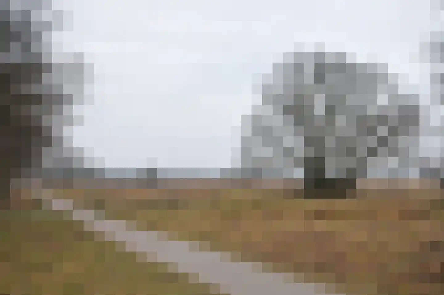 Laarderweg 244 II Bussum thumbnail 16