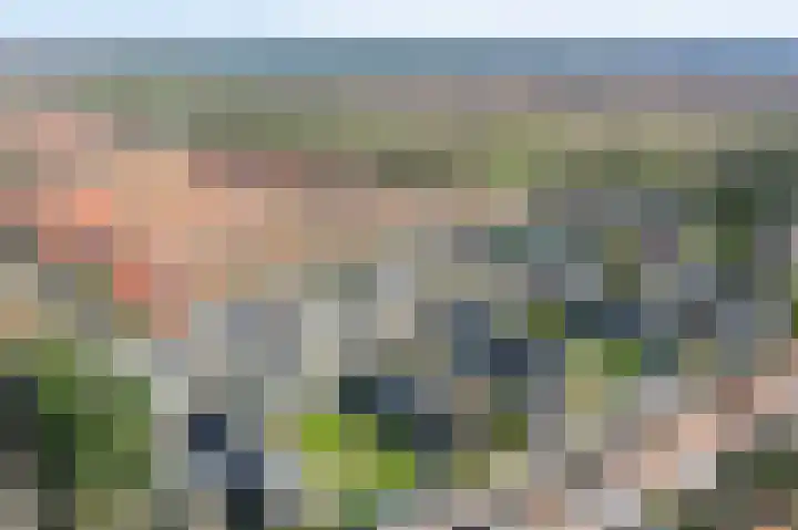 Laarderweg 262 Bussum thumbnail 30