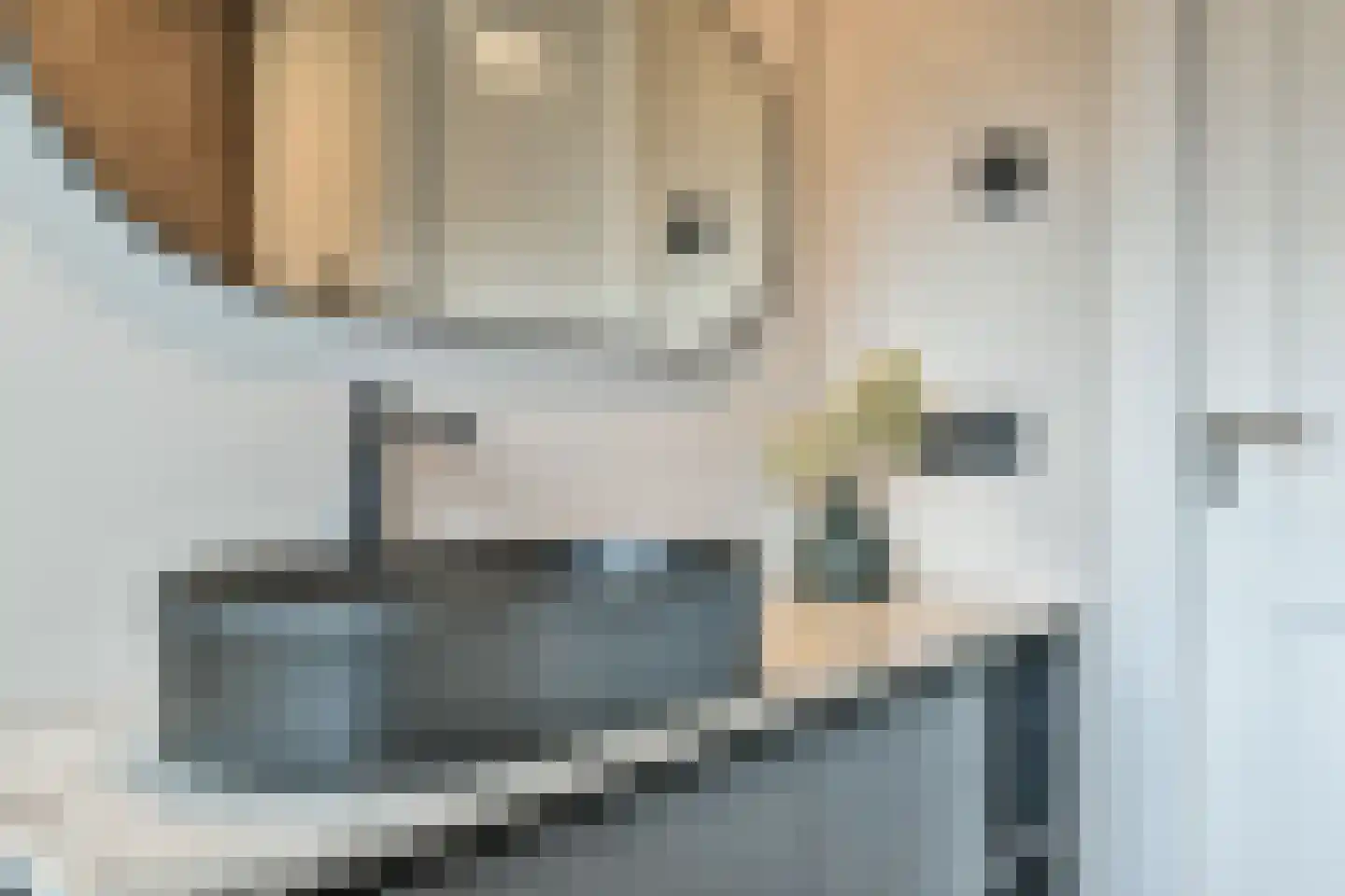 Laarderweg 40 A Eemnes thumbnail 12