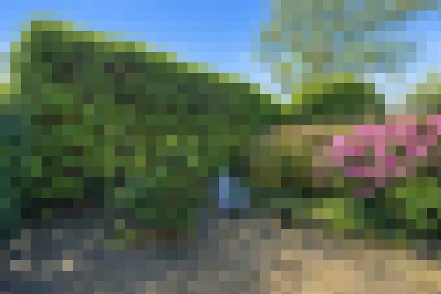 Laarderweg 43 Eemnes thumbnail 24