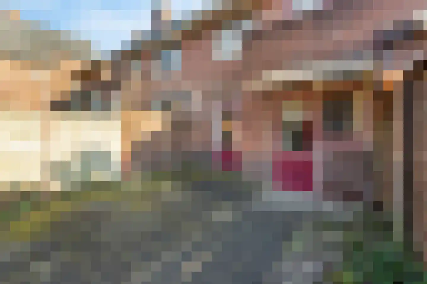 Laarderweg 68 Bussum thumbnail 36