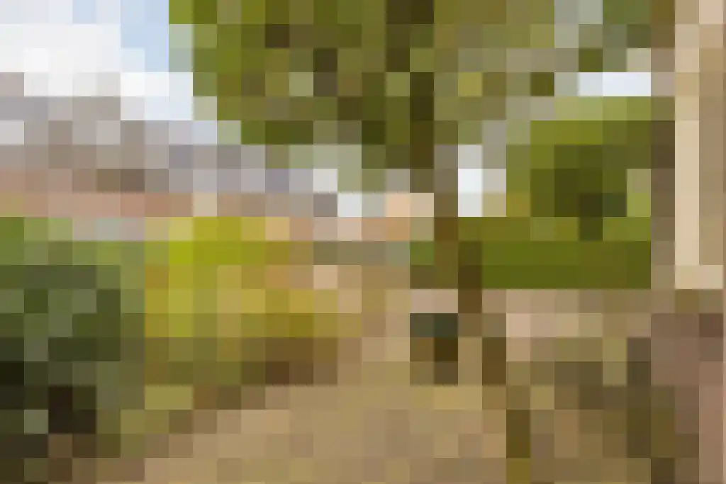 Laarderweg 79 Eemnes thumbnail 32