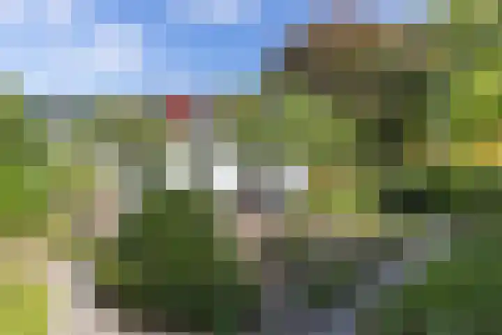 Laarderweg 84 Eemnes thumbnail 30