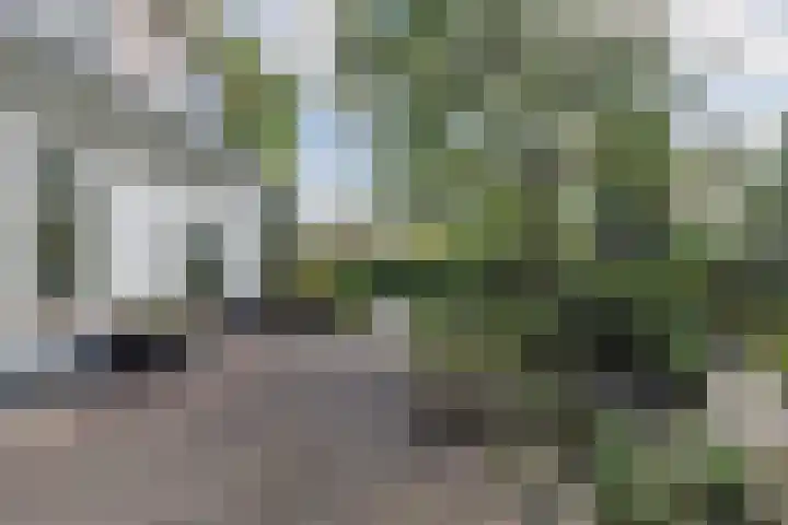 Laarderweg 84 Eemnes thumbnail 31