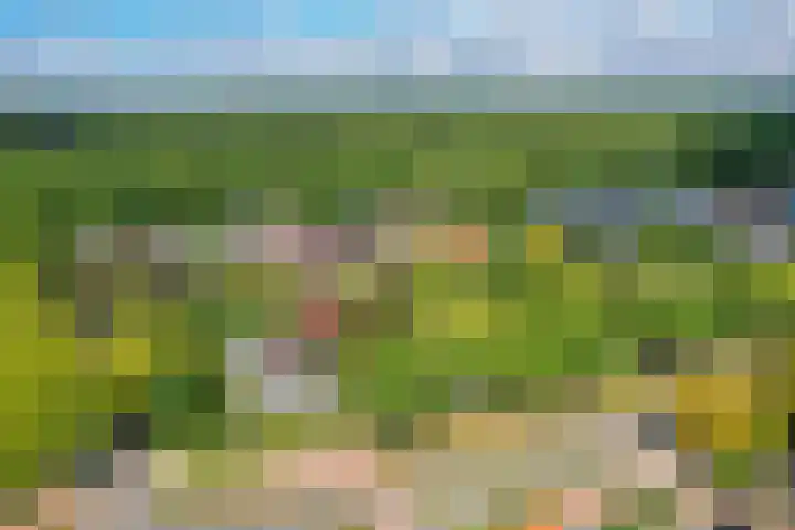 Laarderweg 84 Eemnes thumbnail 32