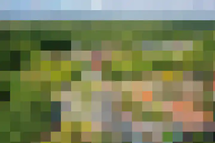 Laarderweg 84 Eemnes thumbnail 33