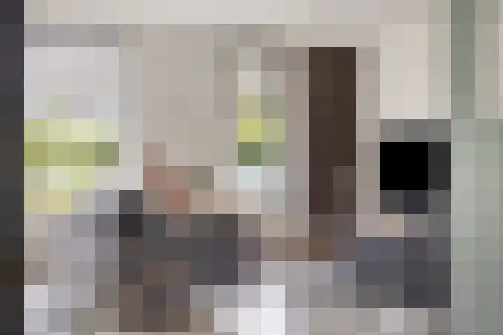 Laardonk 10 Helmond thumbnail 13