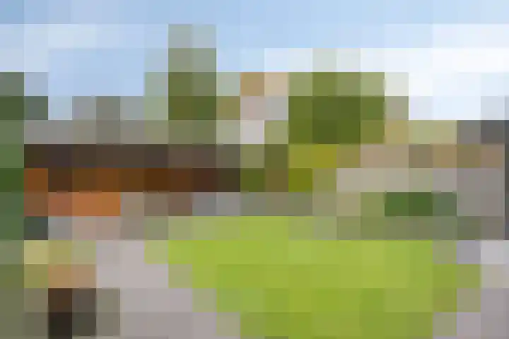 Laardonk 10 Helmond thumbnail 36