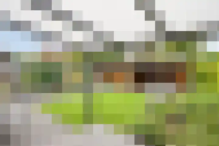 Laardonk 10 Helmond thumbnail 37