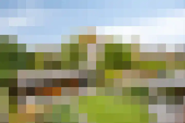 Laardonk 10 Helmond thumbnail 39