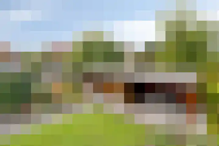 Laardonk 10 Helmond thumbnail 40