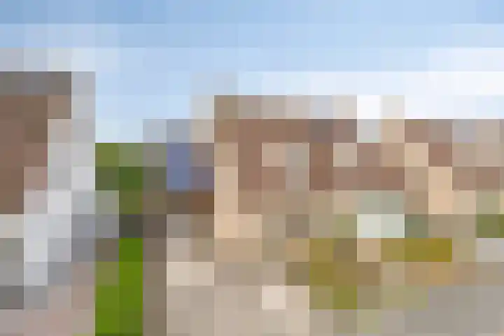 Laardonk 10 Helmond thumbnail 46