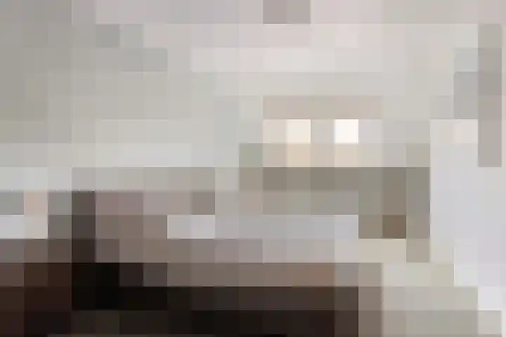 Laardonk 10 Helmond thumbnail 5