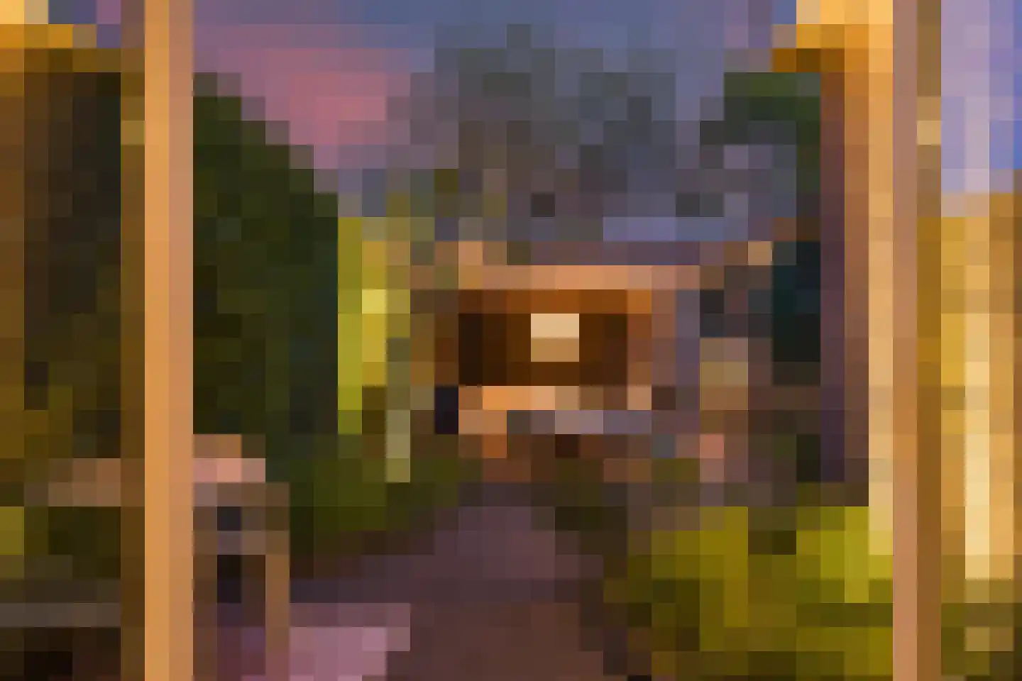 Laaressingel 10 Enschede thumbnail 42