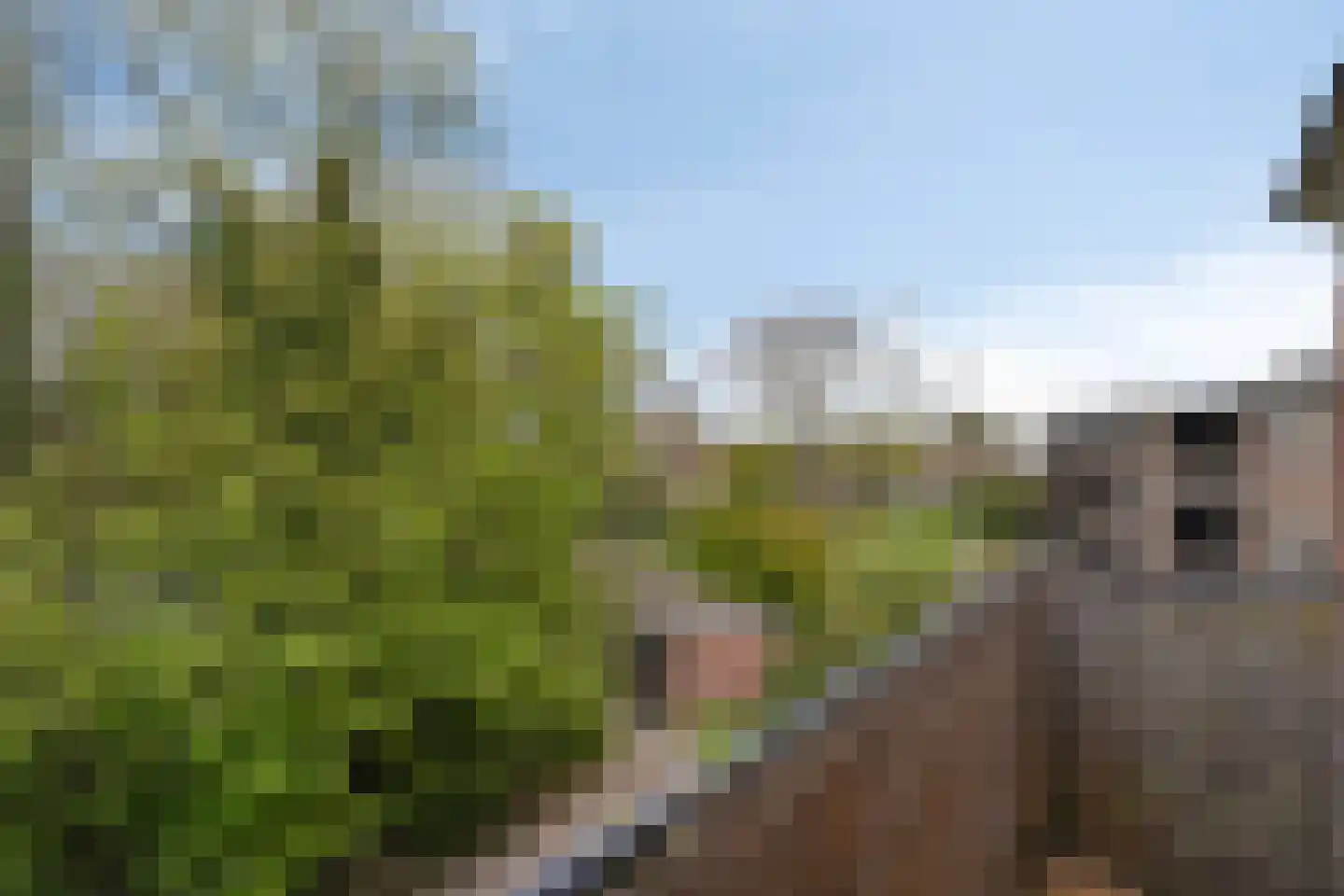 Laaressingel 23 Enschede thumbnail 30