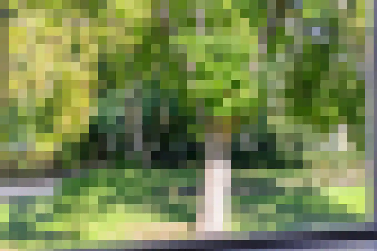 Laaressingel 33 Enschede thumbnail 24