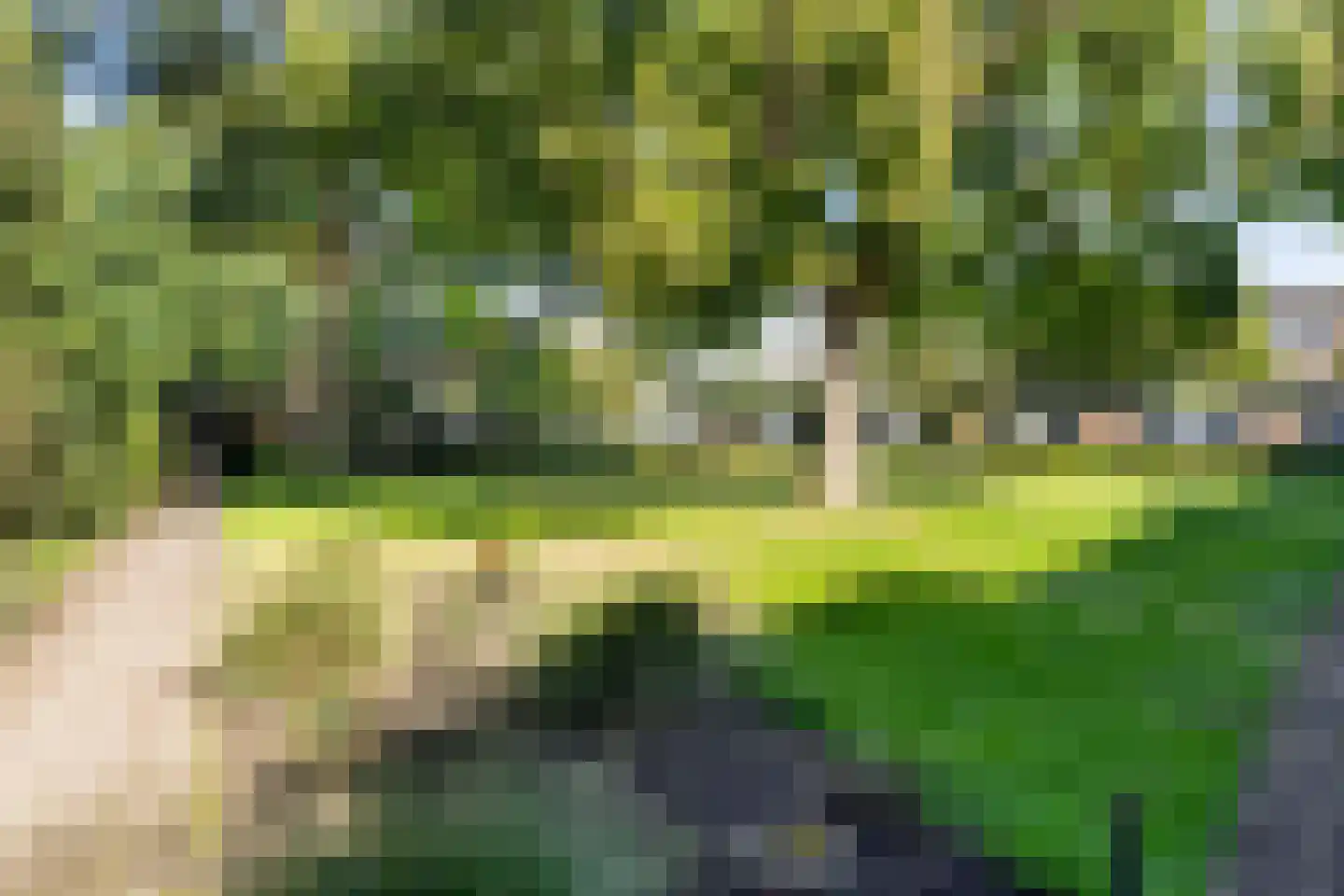 Laaressingel 33 Enschede thumbnail 31