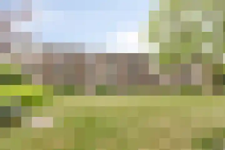 Laaressingel 37 Enschede thumbnail 28