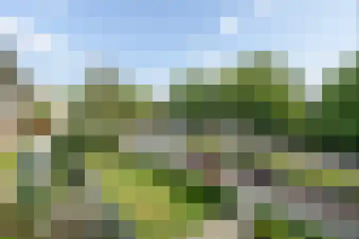 Laaressingel 41 Enschede thumbnail 15