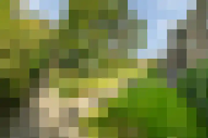 Laaressingel 41 Enschede thumbnail 36